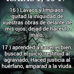 Meet your Posher, Lily